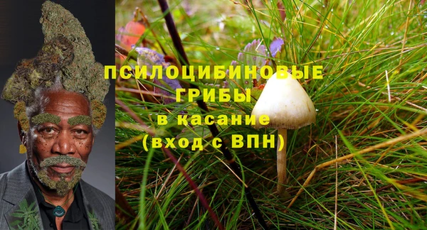 MDMA Заводоуковск